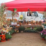 fall food truck music festival