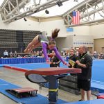 gymnastics championship