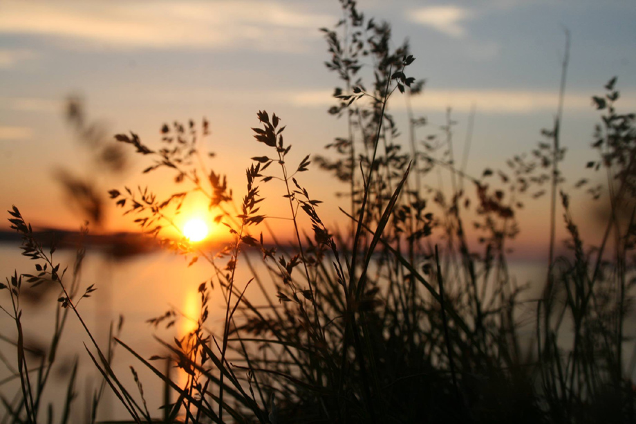 wildwood crest sunset celebrations