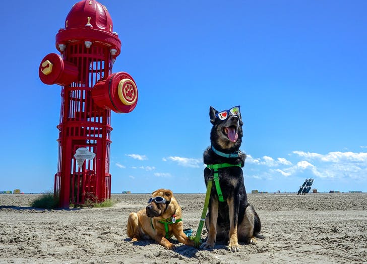 Best Beaches in New Jersey THE WILDWOODS