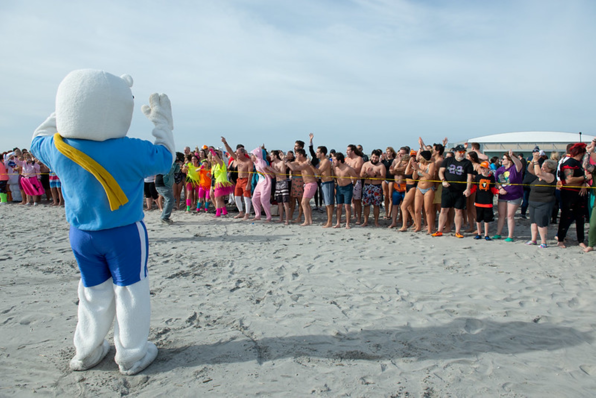 PolarBearPlunge Mascot Wildwood