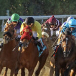 Nite at the Races