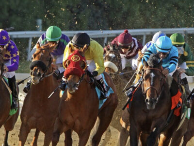 Nite at the Races
