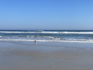 Wildwoods Winter Getaway